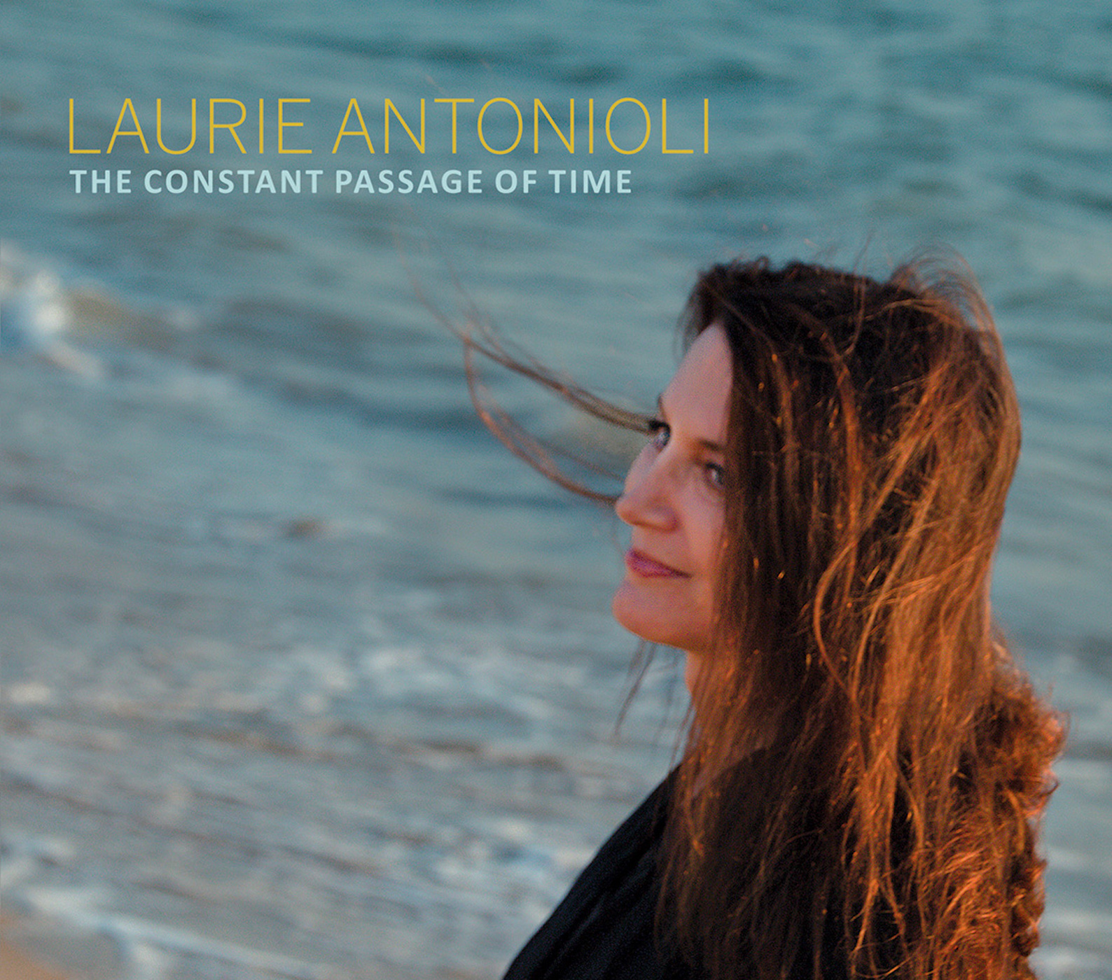 Laurie Antonioli - The Constant Passage of Time